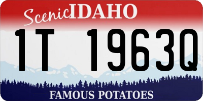 ID license plate 1T1963Q