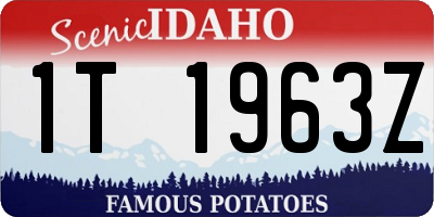 ID license plate 1T1963Z