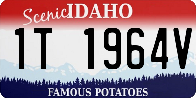 ID license plate 1T1964V