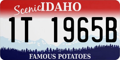 ID license plate 1T1965B
