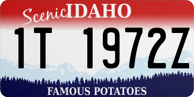 ID license plate 1T1972Z