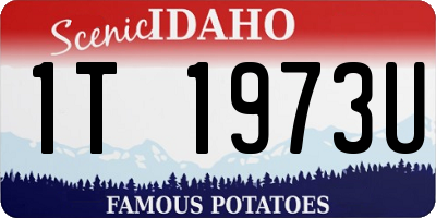 ID license plate 1T1973U