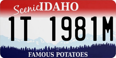 ID license plate 1T1981M