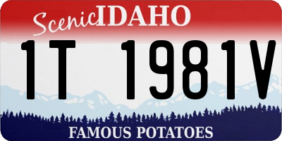 ID license plate 1T1981V