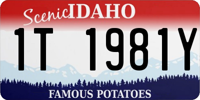 ID license plate 1T1981Y