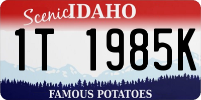 ID license plate 1T1985K