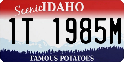 ID license plate 1T1985M