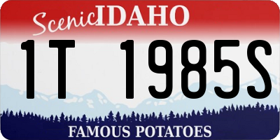 ID license plate 1T1985S