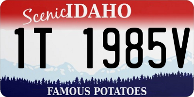 ID license plate 1T1985V
