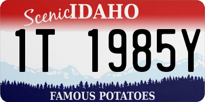 ID license plate 1T1985Y