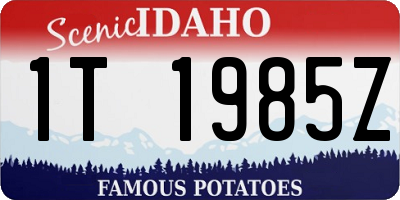ID license plate 1T1985Z