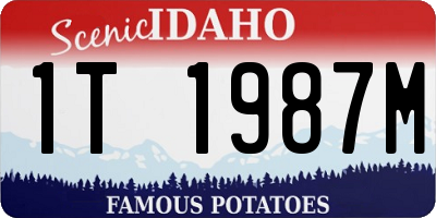ID license plate 1T1987M