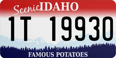 ID license plate 1T1993O
