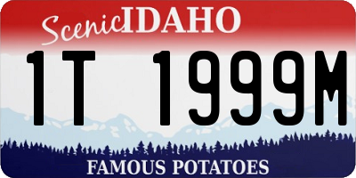 ID license plate 1T1999M