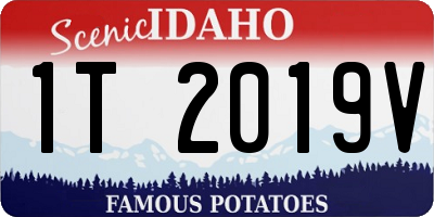 ID license plate 1T2019V