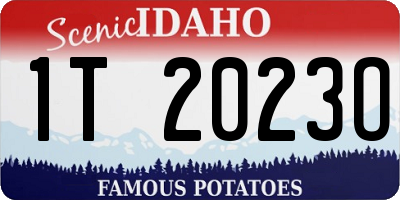 ID license plate 1T2023O