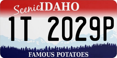 ID license plate 1T2029P