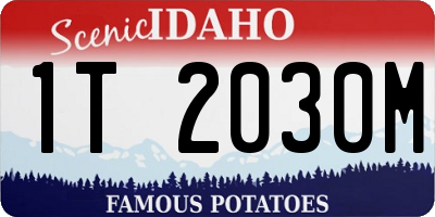 ID license plate 1T2030M