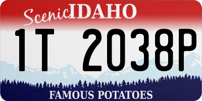 ID license plate 1T2038P