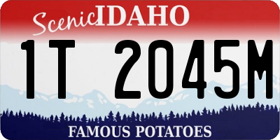 ID license plate 1T2045M