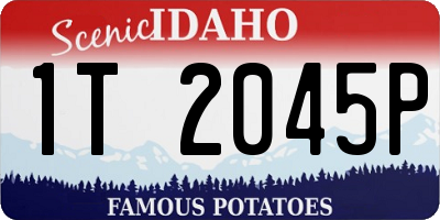 ID license plate 1T2045P