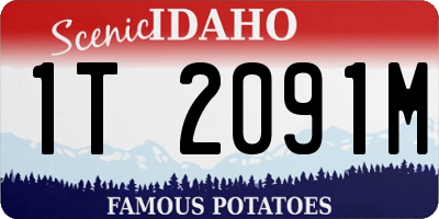 ID license plate 1T2091M