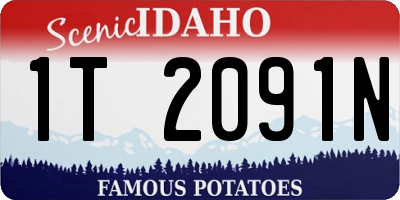 ID license plate 1T2091N