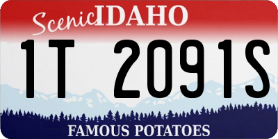 ID license plate 1T2091S