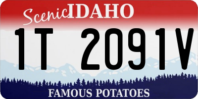 ID license plate 1T2091V