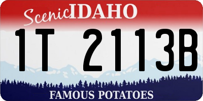 ID license plate 1T2113B