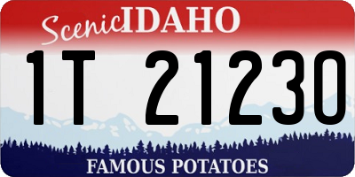 ID license plate 1T2123O