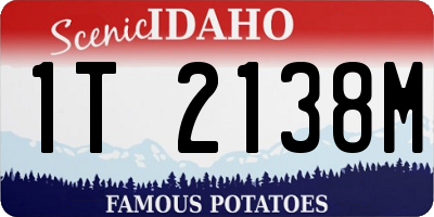 ID license plate 1T2138M