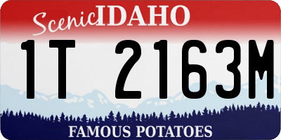 ID license plate 1T2163M