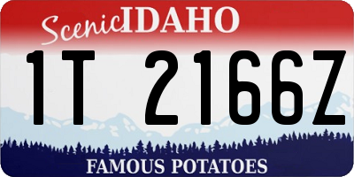 ID license plate 1T2166Z
