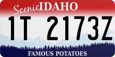 ID license plate 1T2173Z