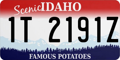 ID license plate 1T2191Z
