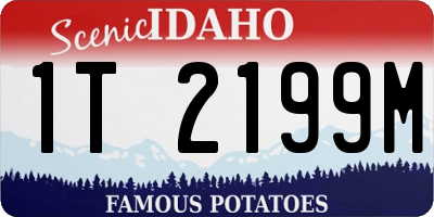 ID license plate 1T2199M