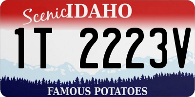 ID license plate 1T2223V