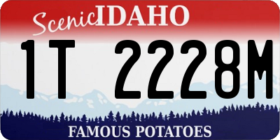ID license plate 1T2228M