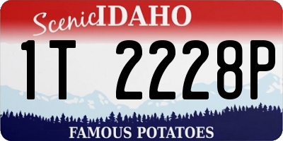 ID license plate 1T2228P
