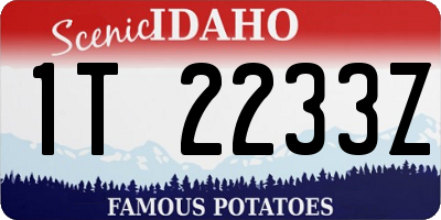 ID license plate 1T2233Z