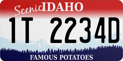 ID license plate 1T2234D