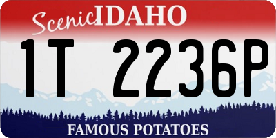 ID license plate 1T2236P