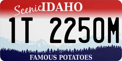 ID license plate 1T2250M