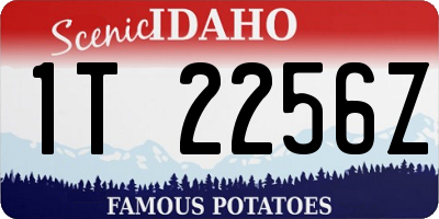 ID license plate 1T2256Z