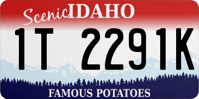 ID license plate 1T2291K
