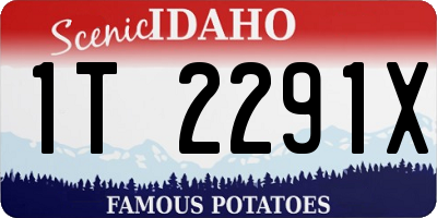 ID license plate 1T2291X