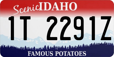 ID license plate 1T2291Z
