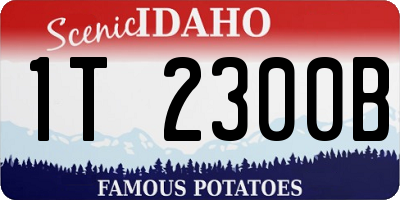 ID license plate 1T2300B