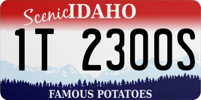 ID license plate 1T2300S